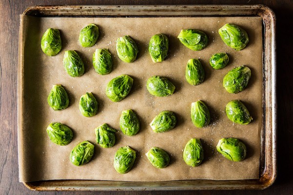 8569896076_0b956c4838_z