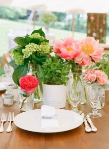 Elizabeth Anne Designs