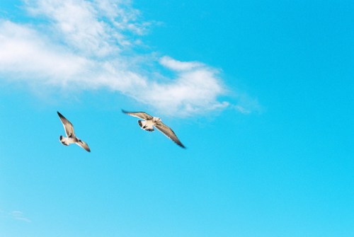 Style Me Pretty / Elaine Palladino