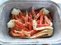 13147334_10153799583953347_4730338715562541996_o